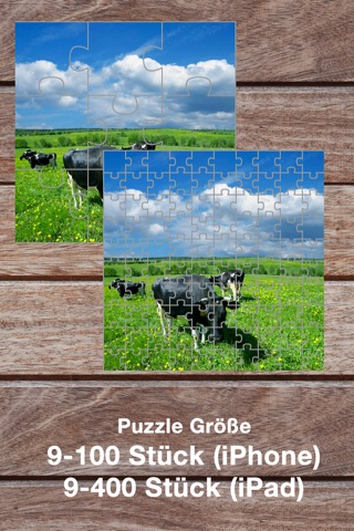 Jigsaw Speedy screenshot 4