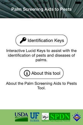 Palm Pests Key screenshot 2