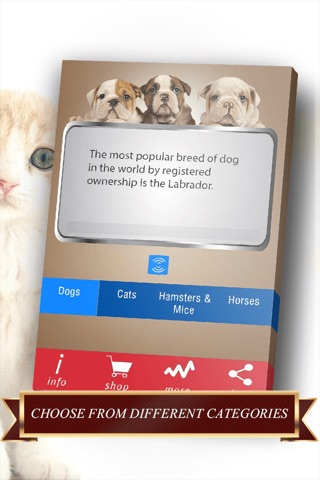 Pets Facts PRO - Trivia for Animal Lovers screenshot 4