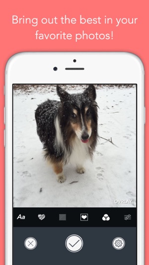 OVRLAY - Photo Editor(圖1)-速報App