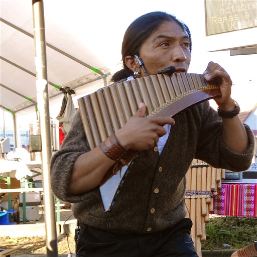 Learn To Play Panpipes