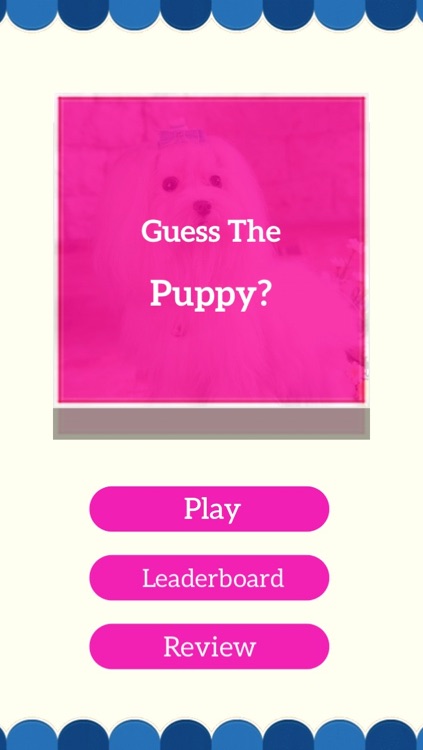 Puppy Guess:Predict And Reveal Your Favourite Puppies Breed screenshot-4