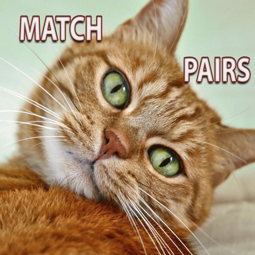 Cats Memory Matching Pairs - Improve concentration in this rainbow game Icon