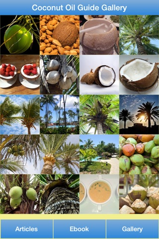 Coconut Oil Guide - All About Coconut Oil For Your Hair and Healthy! screenshot 2