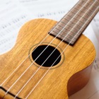Top 43 Music Apps Like How To Play Ukulele - Learn To Play Ukulele Songs, Chords, Tuning Information and Other Ukulele Tips - Best Alternatives