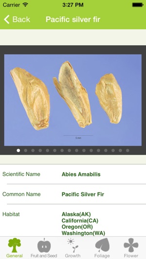 Plants Pedia: North America Trees & Flow