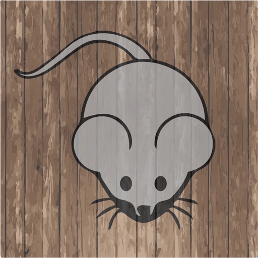Guide The Mouse Icon