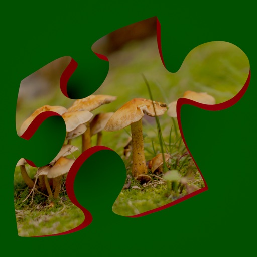Fall - jigsaw puzzle icon