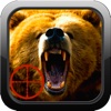 Big Game Bear Hunting