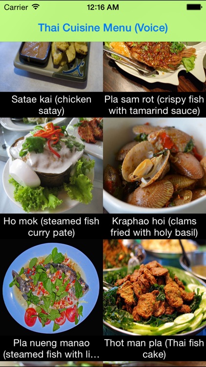 Thai Food Menu (thai voice)