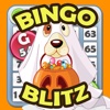 Bingo Dog Blitz - Big Fortune Doggy Edition