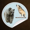 Stickers - Wolves and Bears