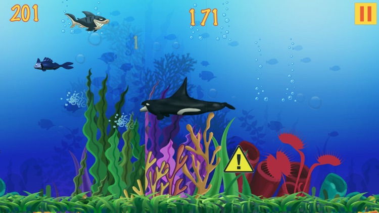 Hungry Fishy Shark - Escape The Ocean Water screenshot-3