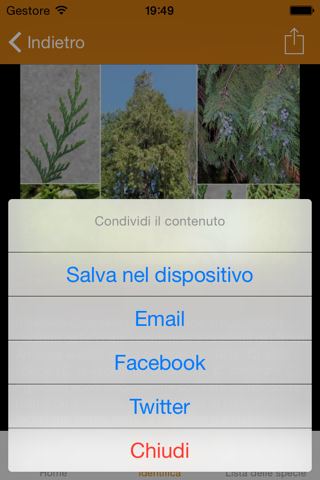 Conoscere e riconoscere gli alberi dell’Orto Botanico di Torino screenshot 4