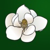 Magnolia App
