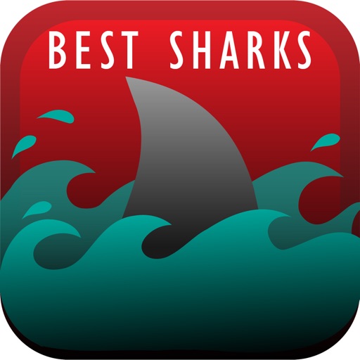 The Best Sharks+