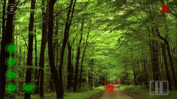 Relax Nature: Forest screenshot-3