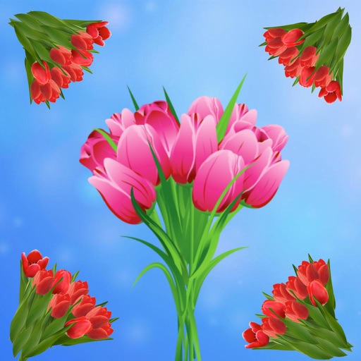 Lovely Flower Bouquet Free icon