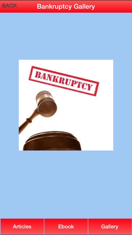Bankruptcy Guide - Everything You Need To Know After Bankruptcy screenshot-3