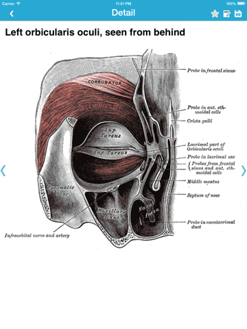 Gray's Anatomy Pro 2014のおすすめ画像4