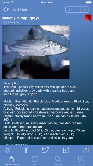 Pocket Guide UK Sea Fishing Lite(圖2)-速報App