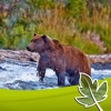Faszination Wildnis Kanada/Alaska