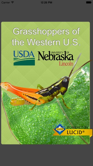 Grasshoppers of the Western US