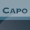 CAPO - Systems GmbH