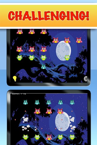 Owl Hoot - Free Puzzle Game For Kids - Pop The Owls! screenshot 2