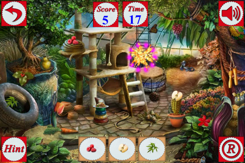 Hidden Objects Of Feed The Animals screenshot 3