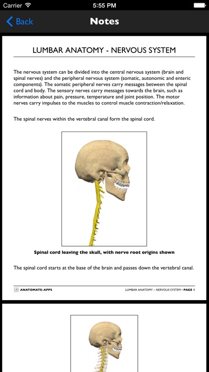 mLumbarAnatomy screenshot-4