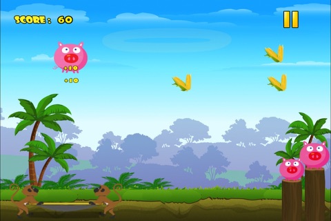 Super Pig Acrobat Jumping Rush - Piggy Food Collecting Game LX screenshot 3
