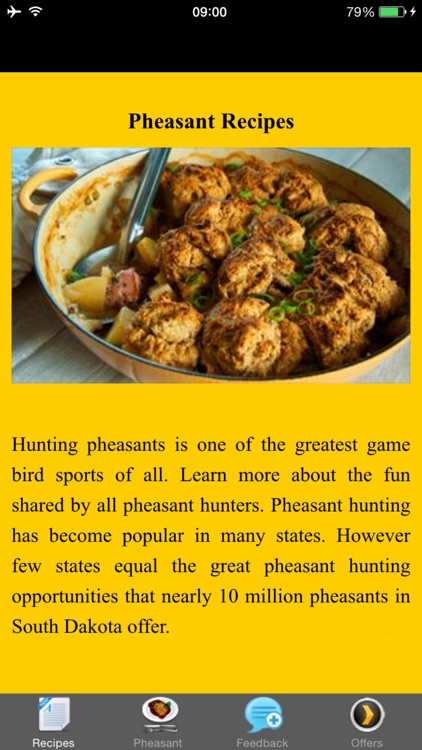 Pheasant Recipes - Braising Venison
