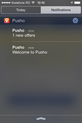 Pusho screenshot 2