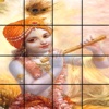 Krsna Puzzle