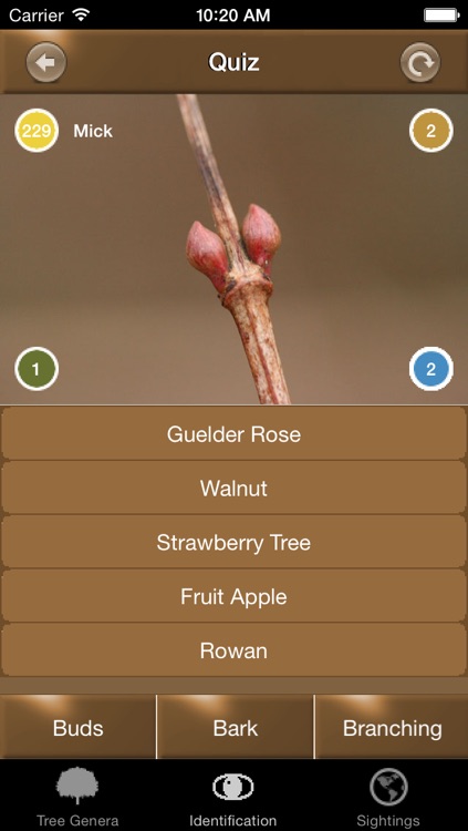 Winter TreeId - British Isles Tree Guide screenshot-3