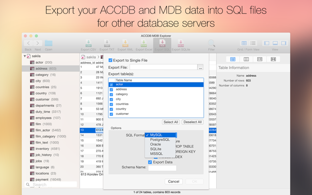 ‎ACCDB MDB Explorer - Open, view & export Access files Screenshot