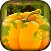 Pumpkin Patch Pandemonium – Halloween Tap Pop Puzzle Free