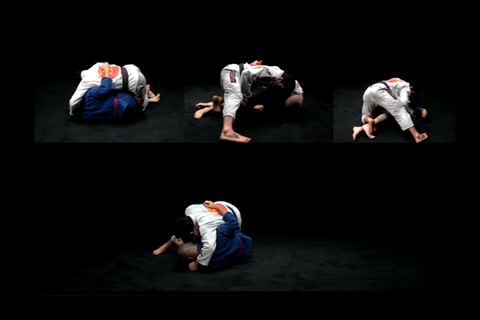 BRAZILIAN JIU-JITSU - Back to Basics vol. 2 screenshot 3