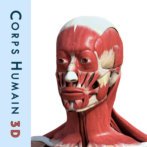 Corps humain 3D gratuit : Anatomie Humaine Interactive icon