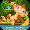 Amazon Challenge