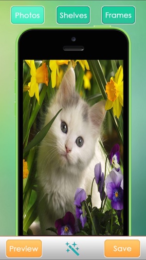 Pet Wallpapers HD Free: Set Awesome Homescreen for iPhone(圖1)-速報App