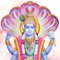 One and only app on app store which gives you both Vishnu Sahasra Nama Stotra & Namavali