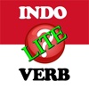 Wots The Indo Verb Lite