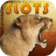 Activities of African Safari Slots Mega Casino - Hunt Wild Animals and Win Big 777 Jackpot Bonanza