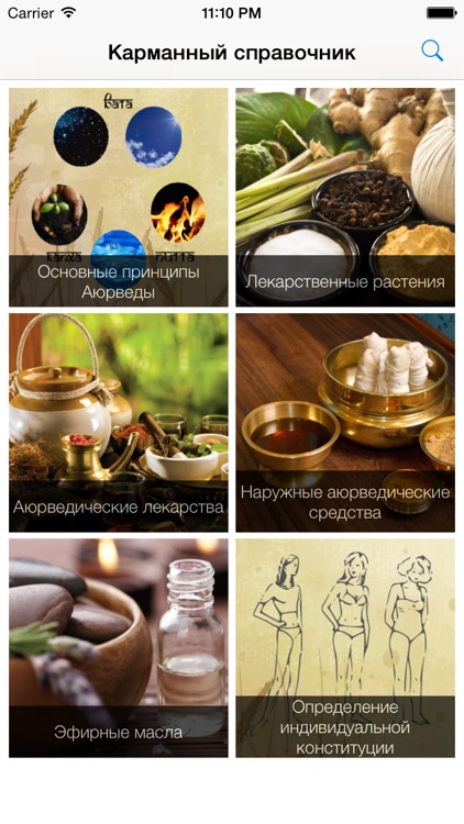 Карманный справочник Аюрведы screenshot-4