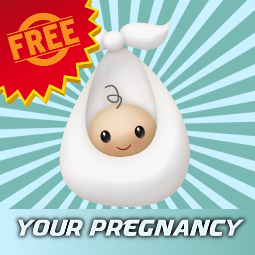 Your Pregnancy Free Icon