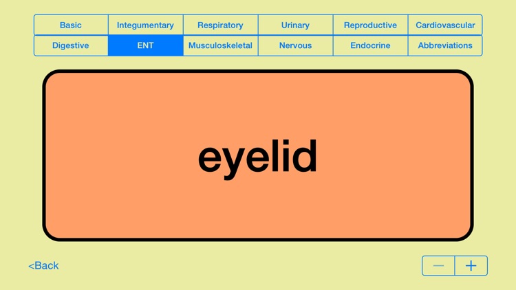 Medical Terms - Flashcards screenshot-1