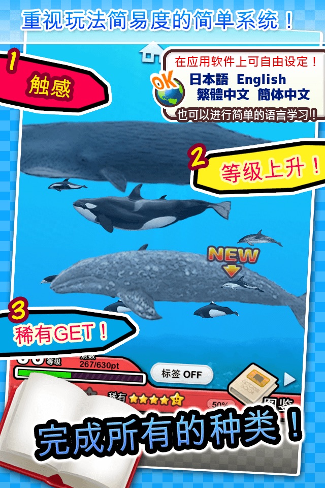 Whales & Dolphins of the World -Simple Pictorial Book Kids Game - screenshot 2
