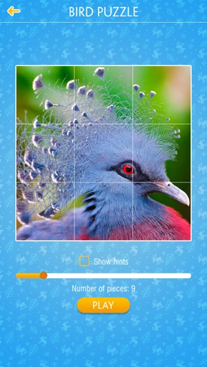 Bird Jigsaw Puzzle(圖3)-速報App